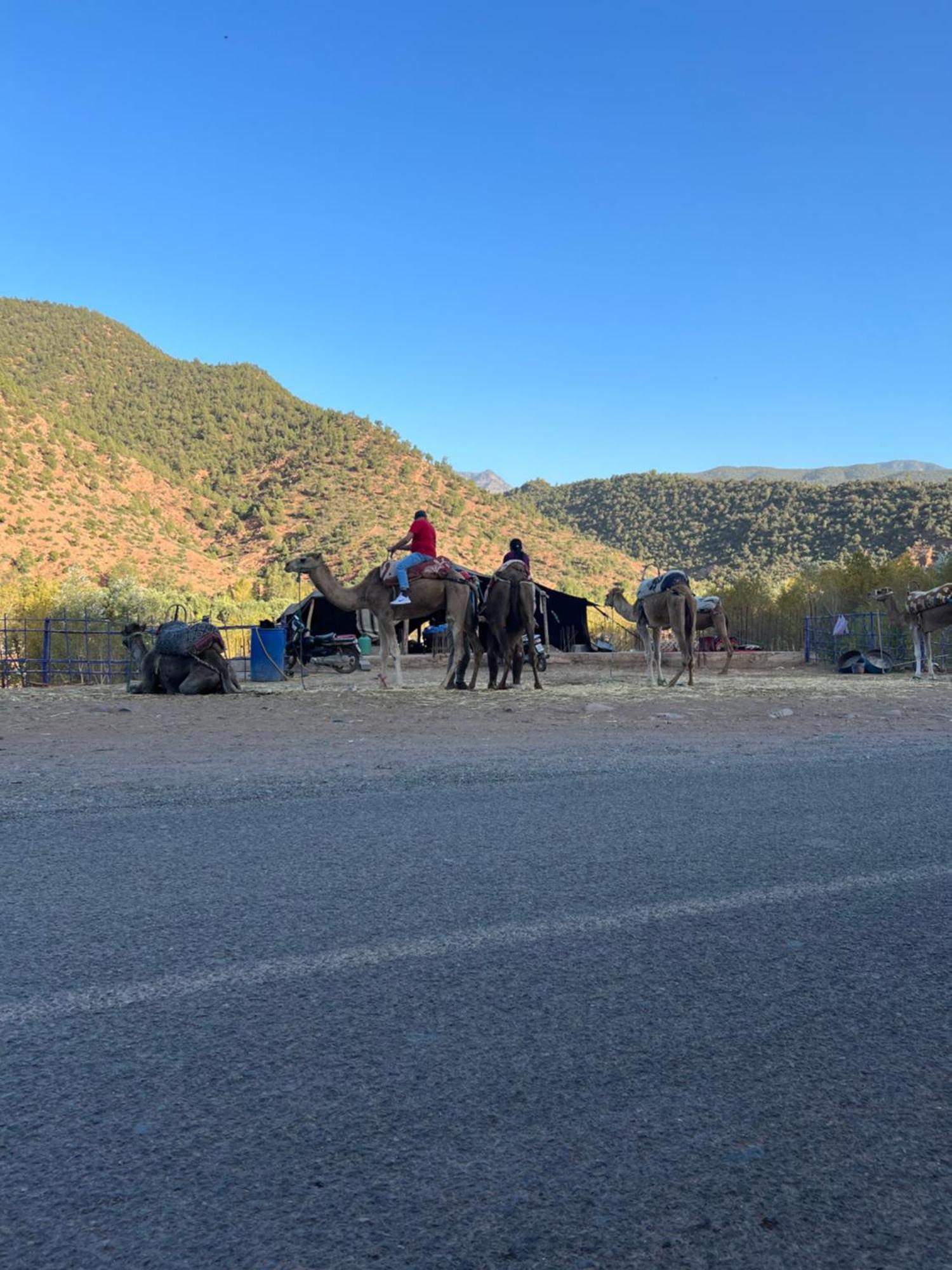 Tazart Lodge Marakeş Dış mekan fotoğraf