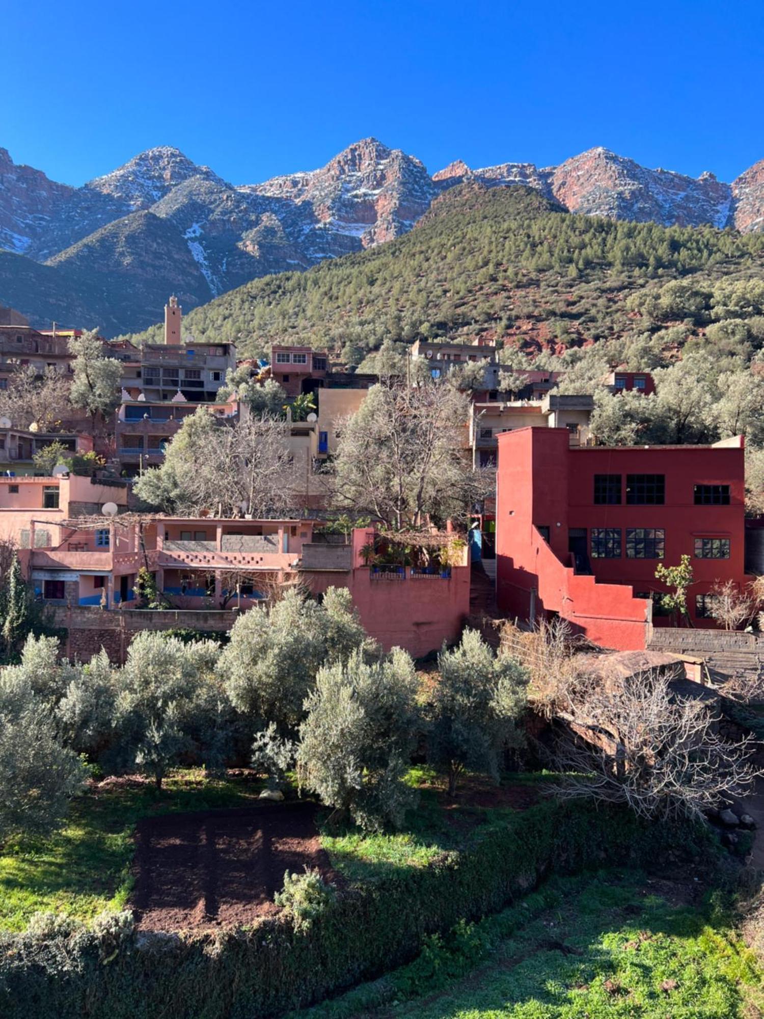 Tazart Lodge Marakeş Dış mekan fotoğraf