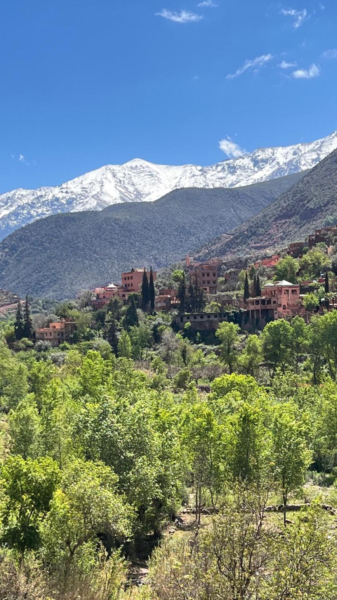 Tazart Lodge Marakeş Dış mekan fotoğraf