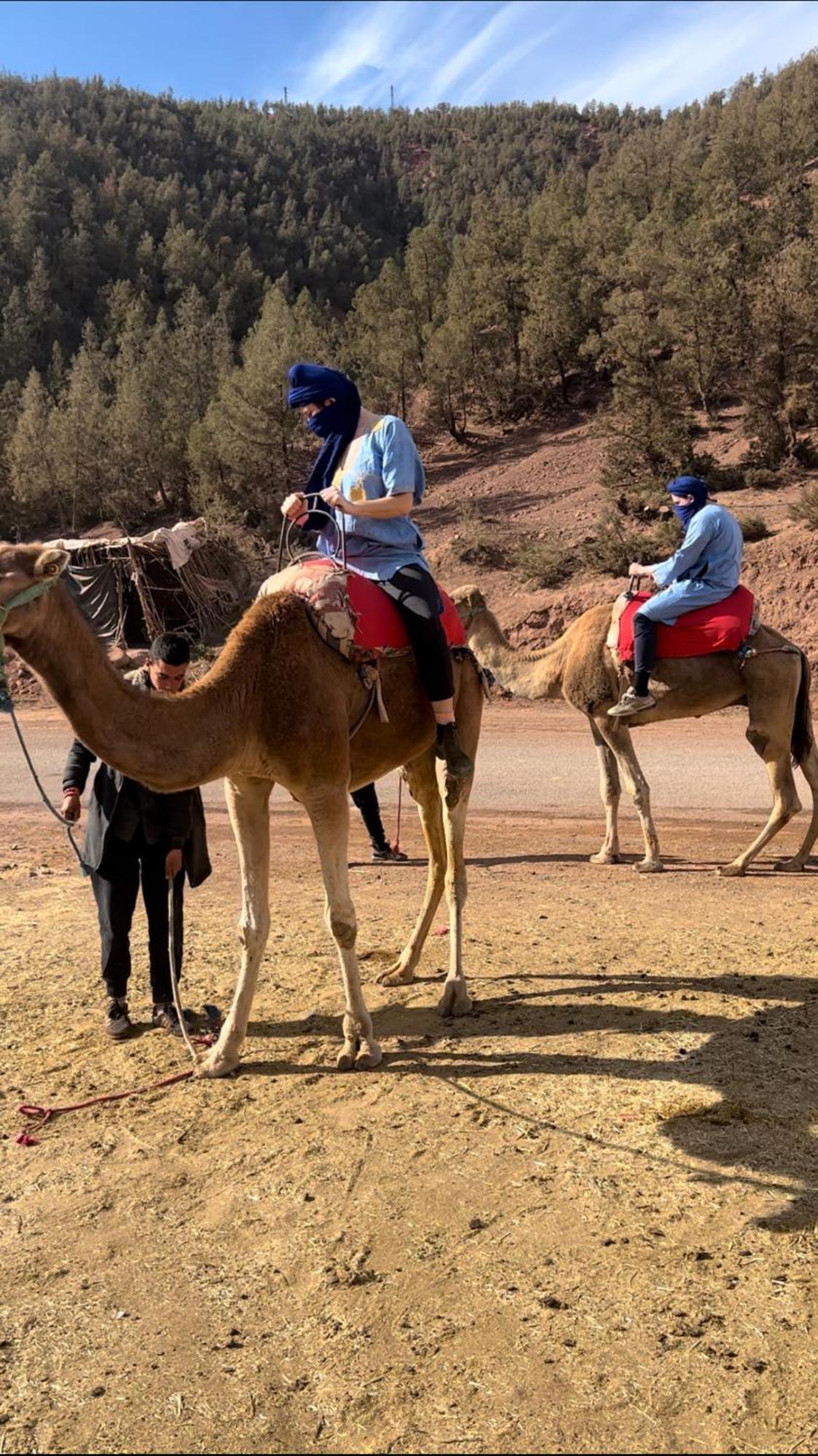 Tazart Lodge Marakeş Dış mekan fotoğraf